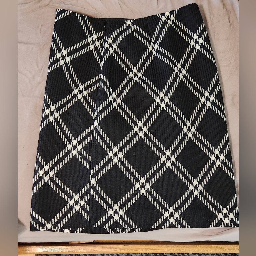 Ann Taylor skirt